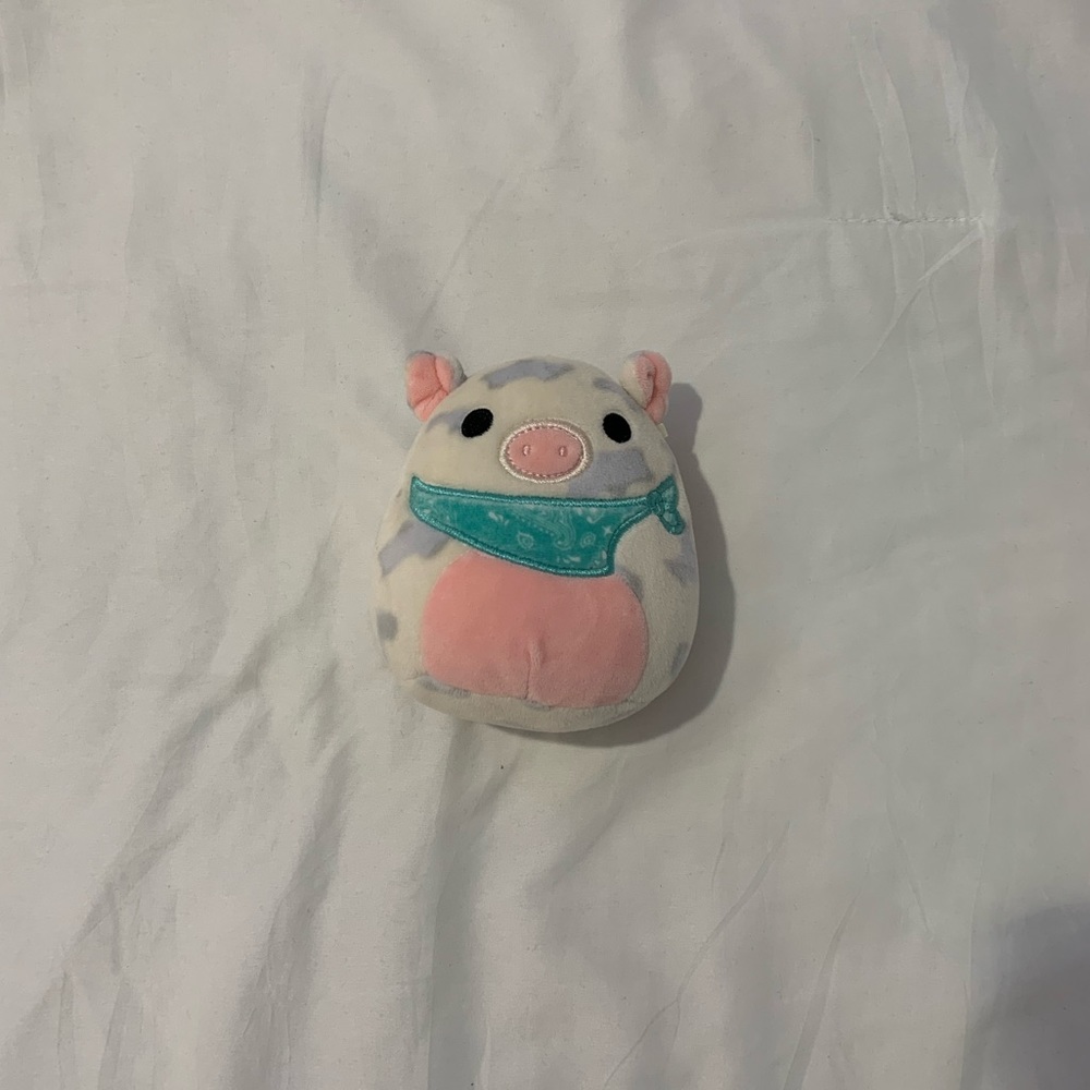 Pack of 2 RARE⭐️ Squishmallows!!